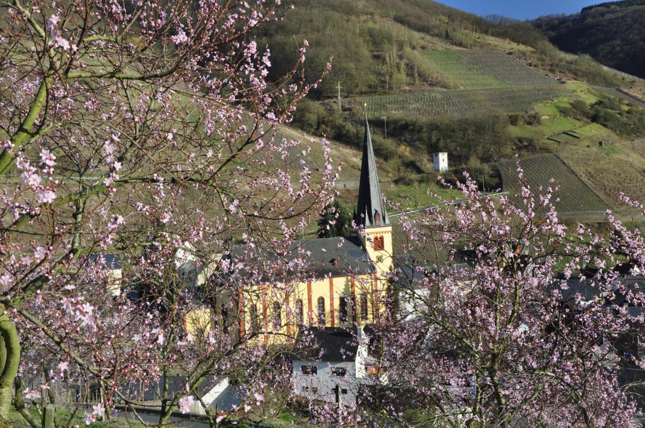 Gaestehaus Sehl Зенхайм Екстериор снимка